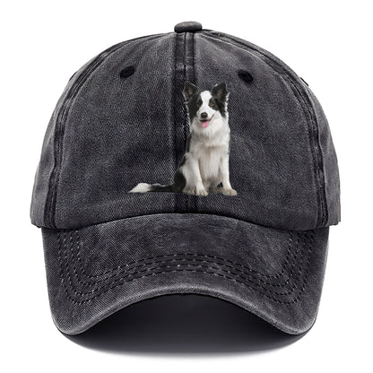 Border Collie Hat