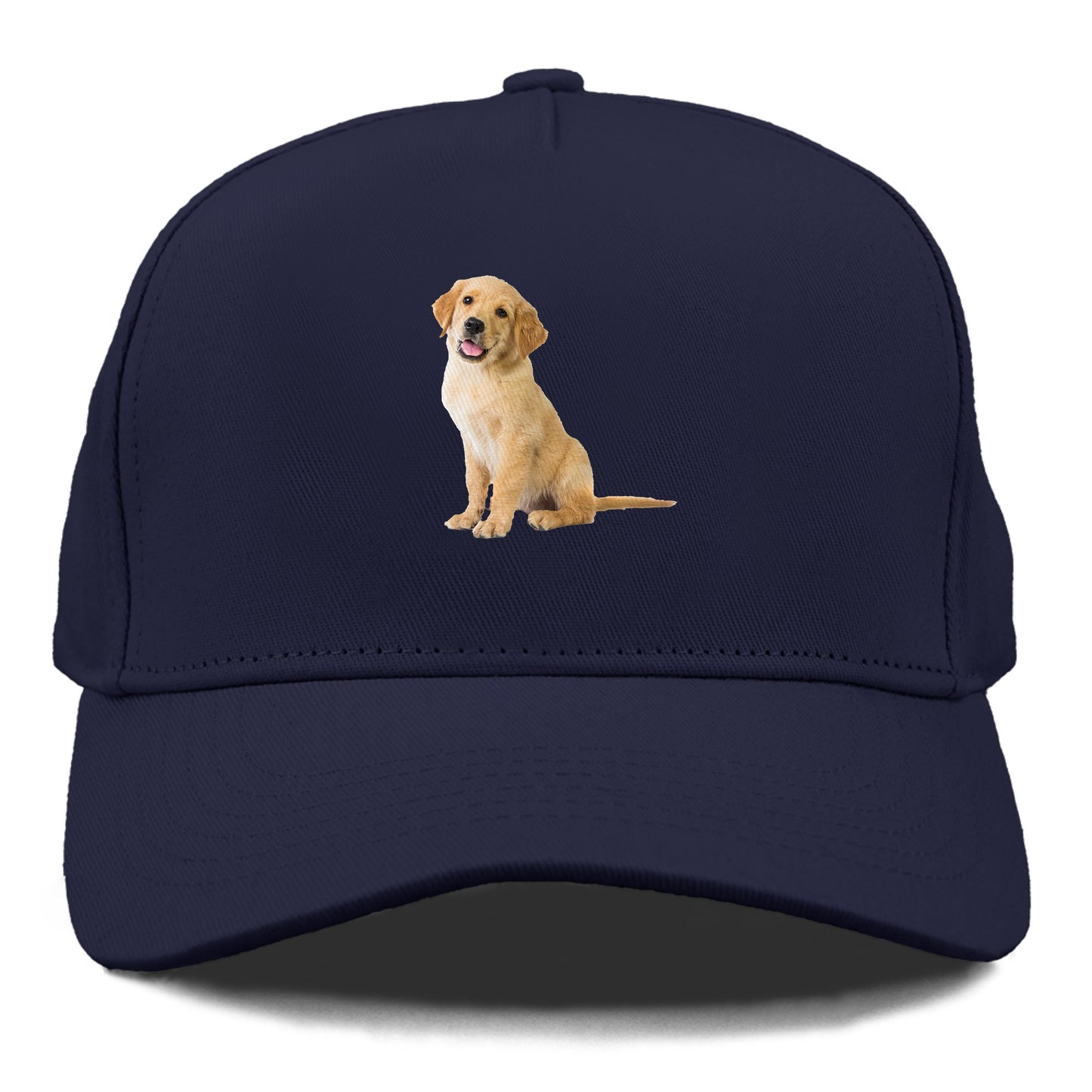 Playful golden pup with a cheerful expression Hat