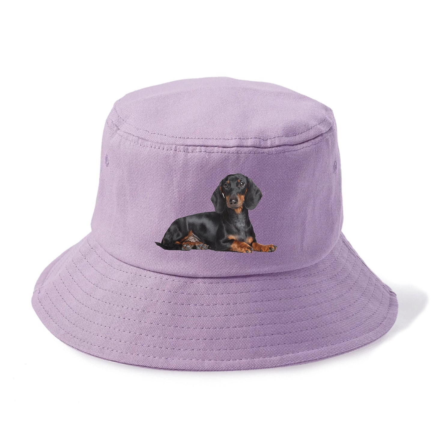 dachshund Hat