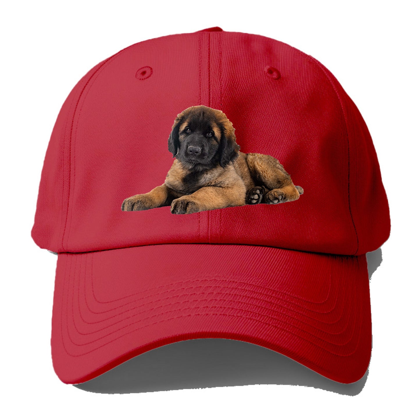 Leonberger Hat