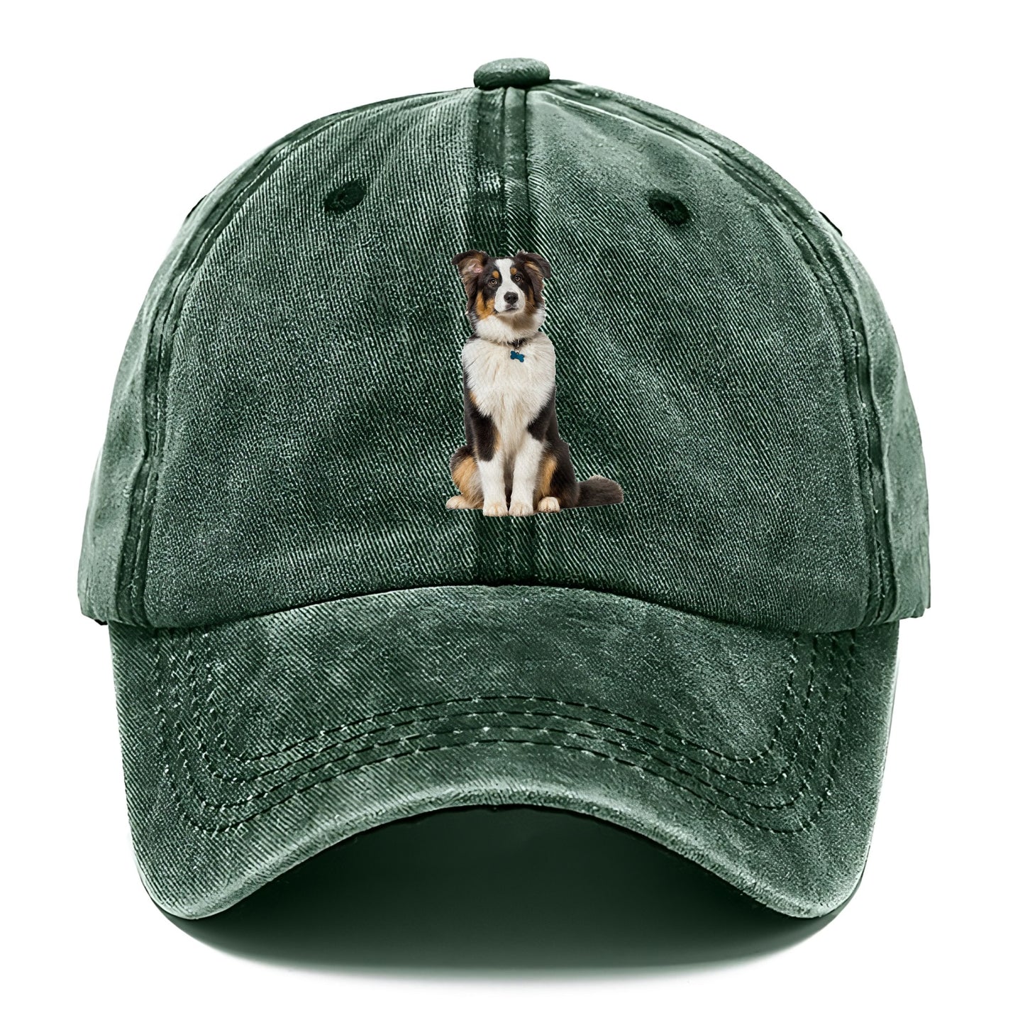 Attentive Australian Shepherd sitting upright Hat