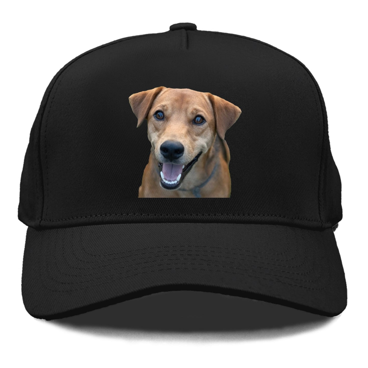 Labrador Hat