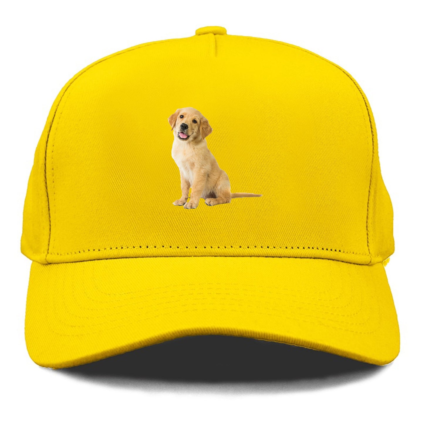 Playful golden pup with a cheerful expression Hat