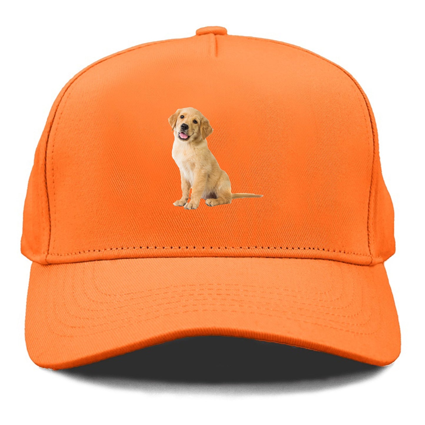 Playful golden pup with a cheerful expression Hat