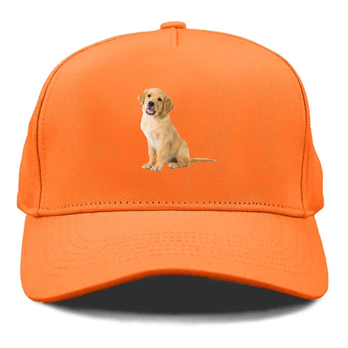 Playful Golden Pup With A Cheerful Expression Cap