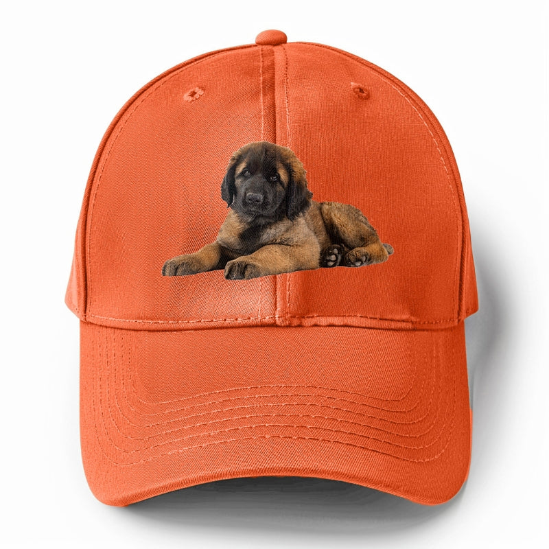 Leonberger Hat