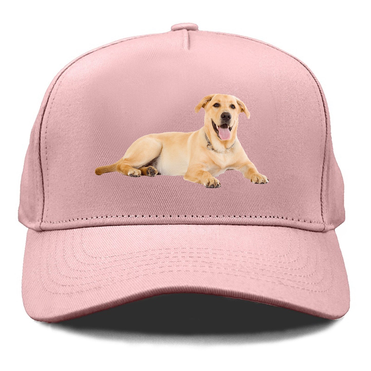 Labrador laying down Hat