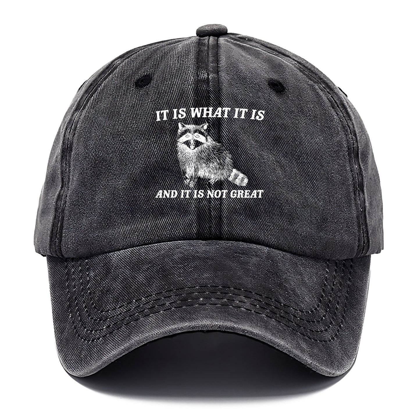 it is what it is Hat