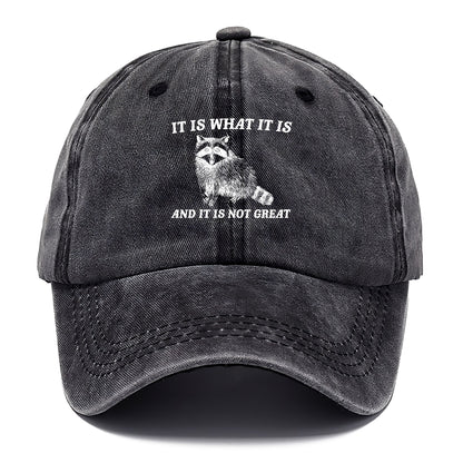 it is what it is Hat