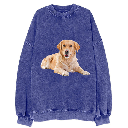 Golden Retriever Laying Down Vintage Sweatshirt