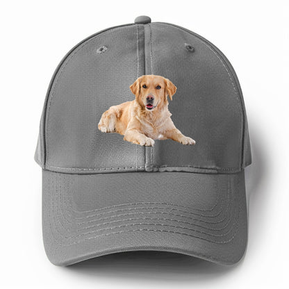 Golden Retriever laying down Hat