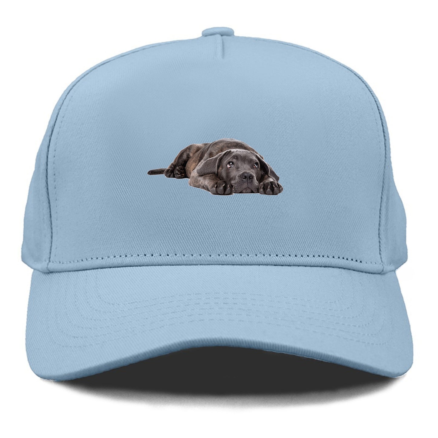 cane corso Hat