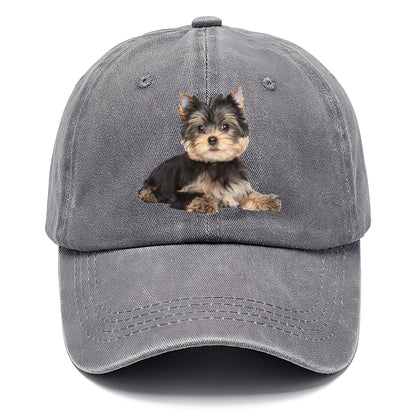 Yorkshire terrier Hat