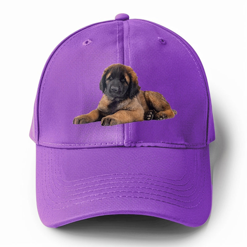 Leonberger Hat