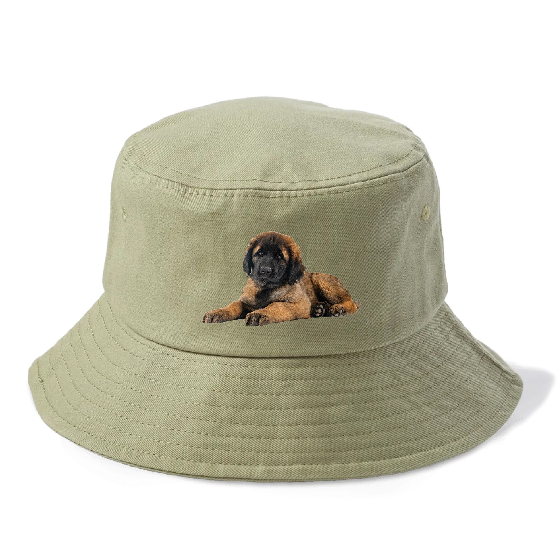 Leonberger Hat