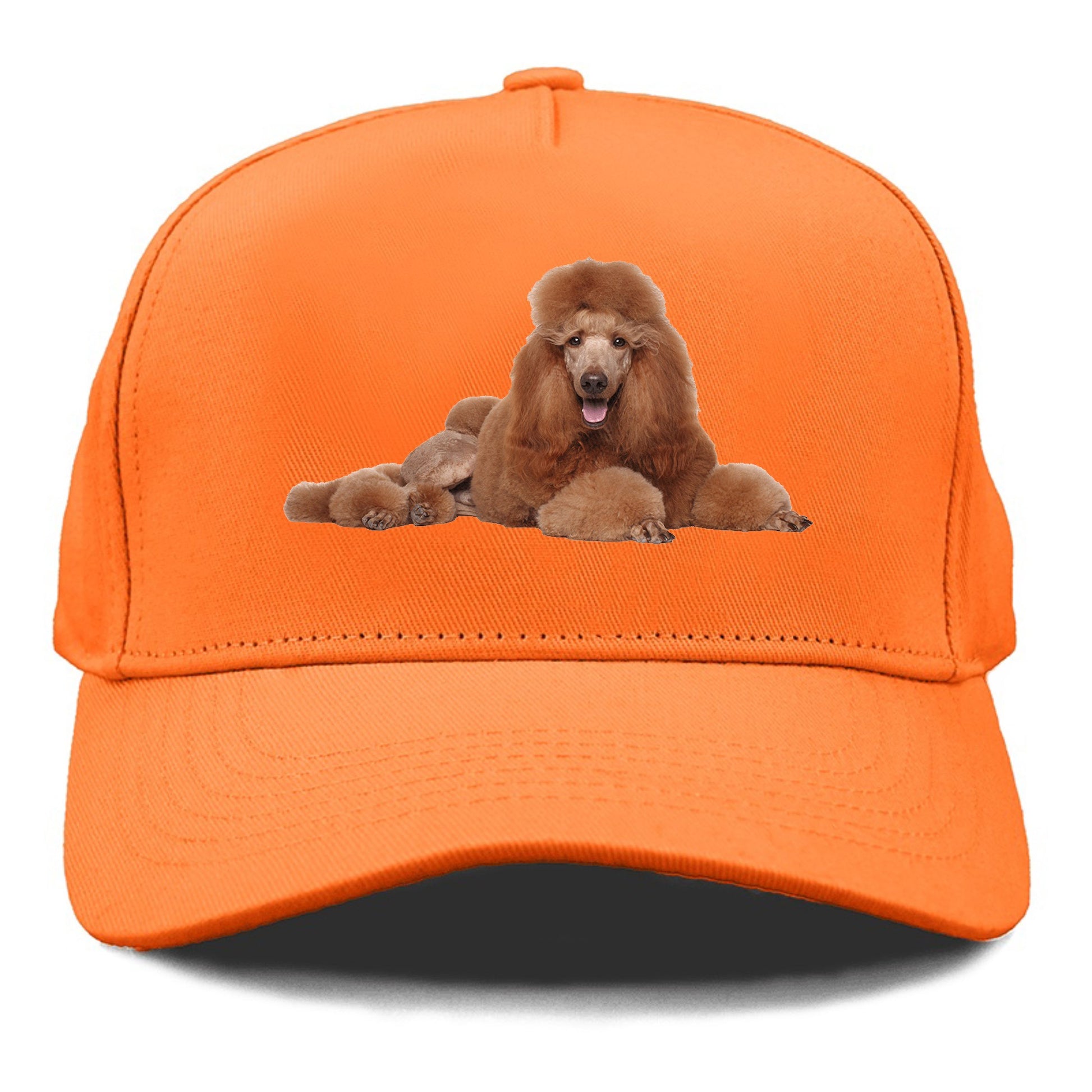 standard poodle Hat