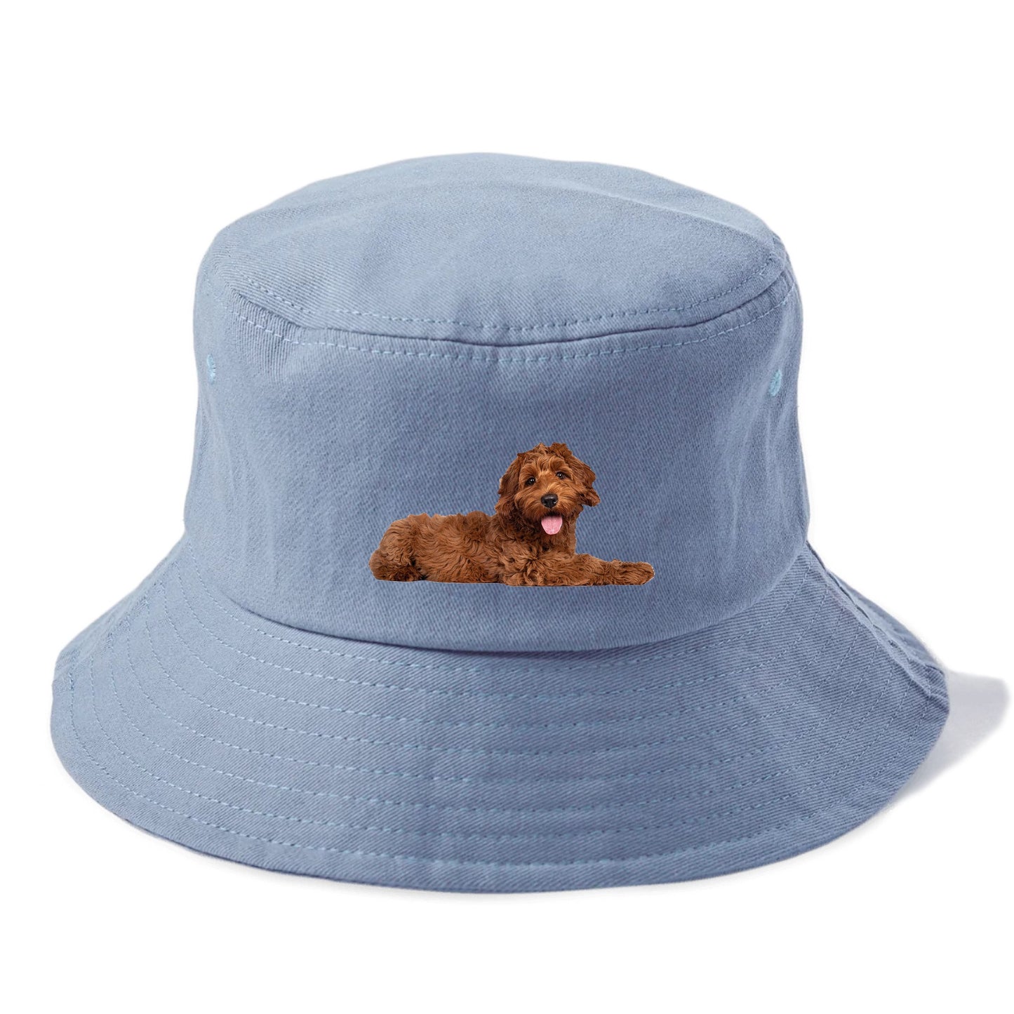 Labradoodle laying down Hat