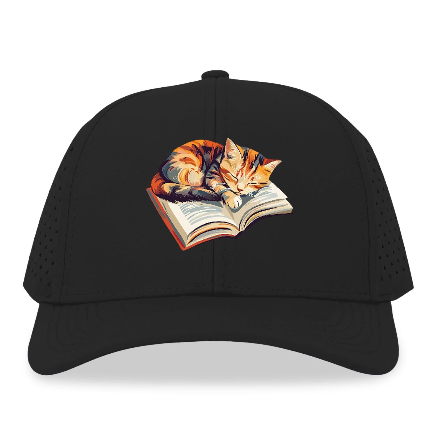 Cat Nap on Book Hat