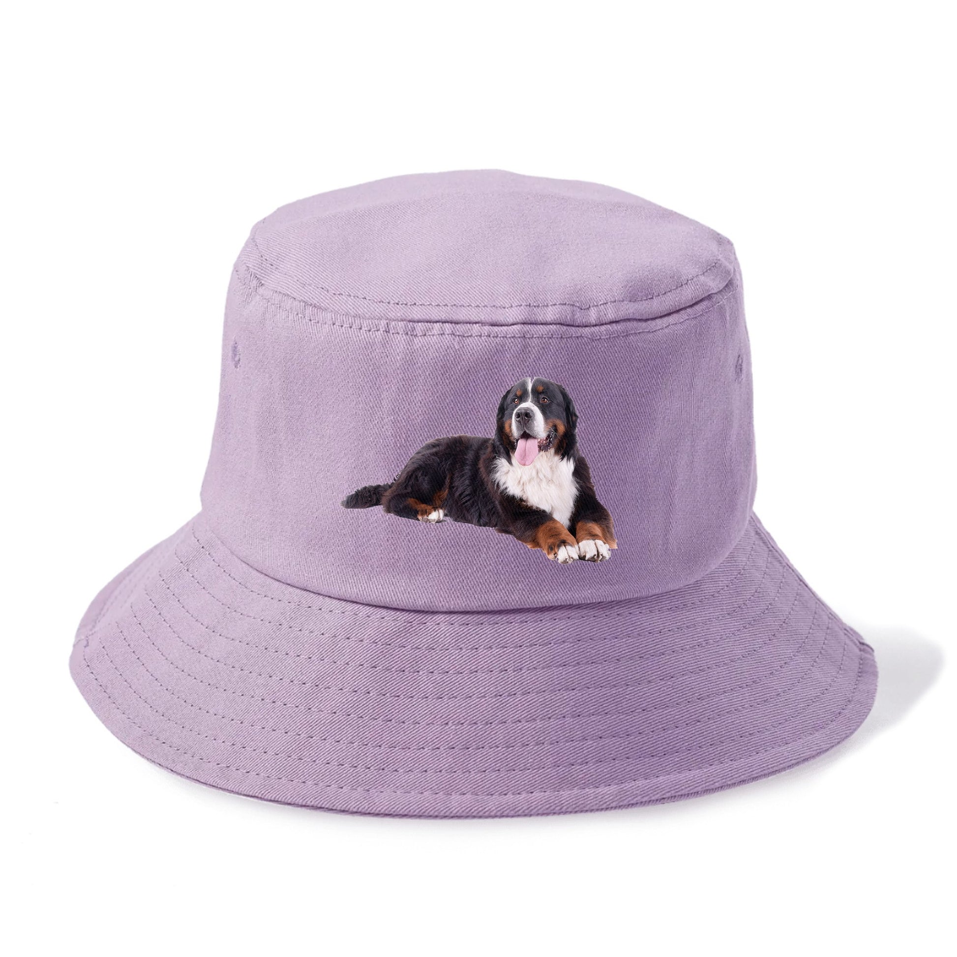 bernese mountain dog Hat