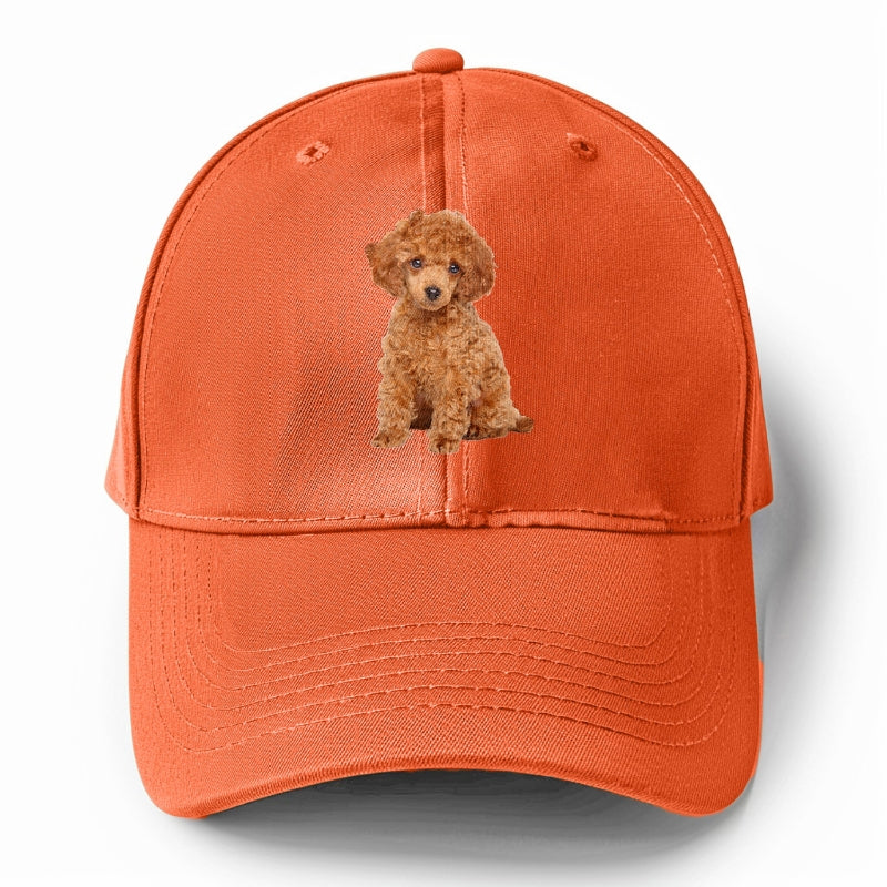 toy poodle Hat