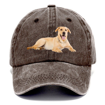 Labrador laying down Hat