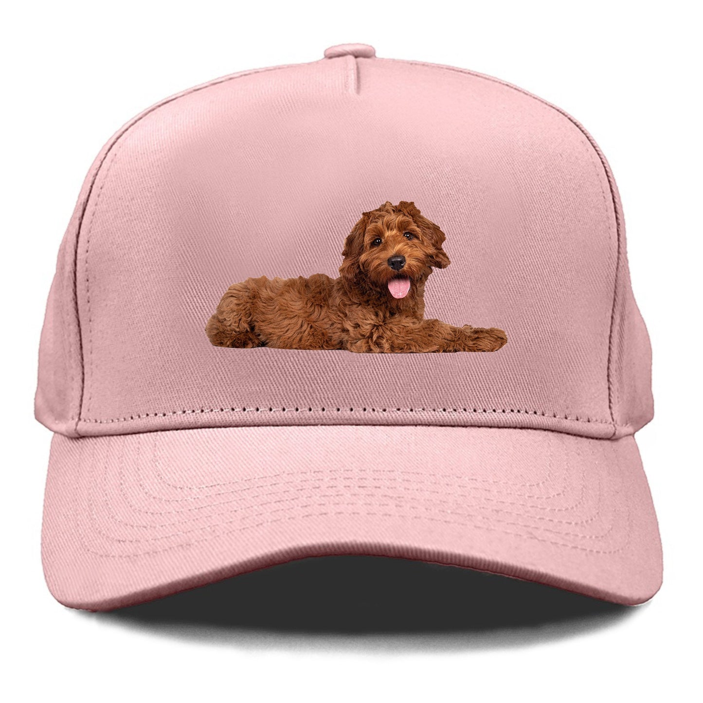 Labradoodle laying down Hat