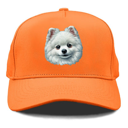 Pomeranian Hat