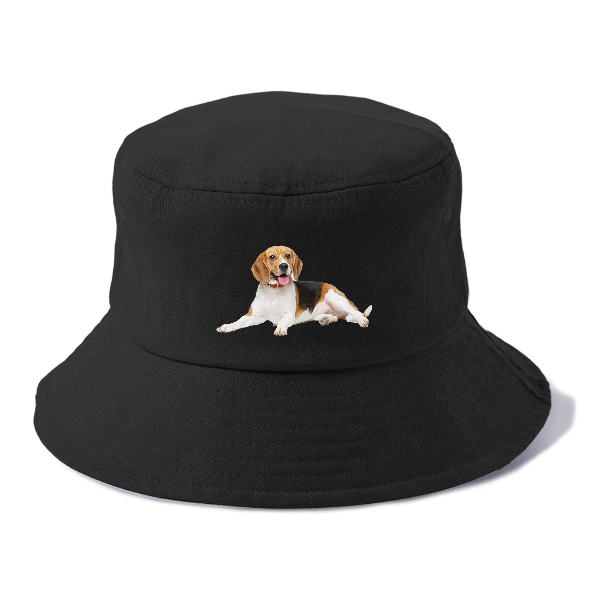 beagle Hat