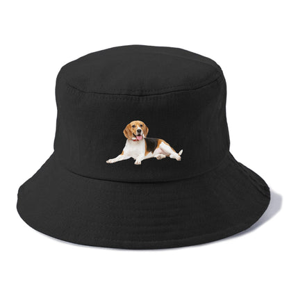 beagle Hat