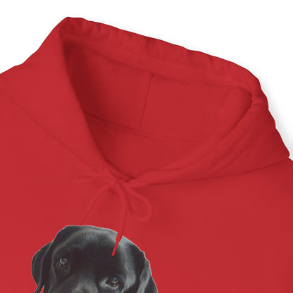 Black Labradors Hooded Sweatshirt