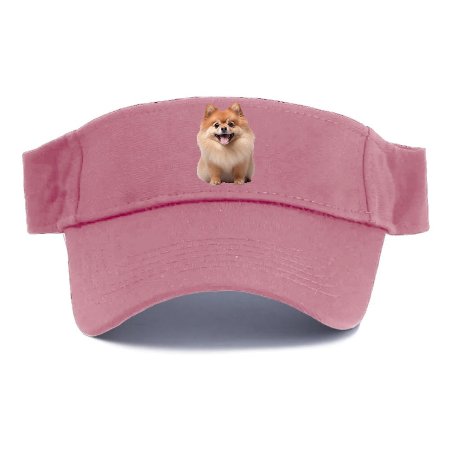 Delighted Pomeranian  Hat