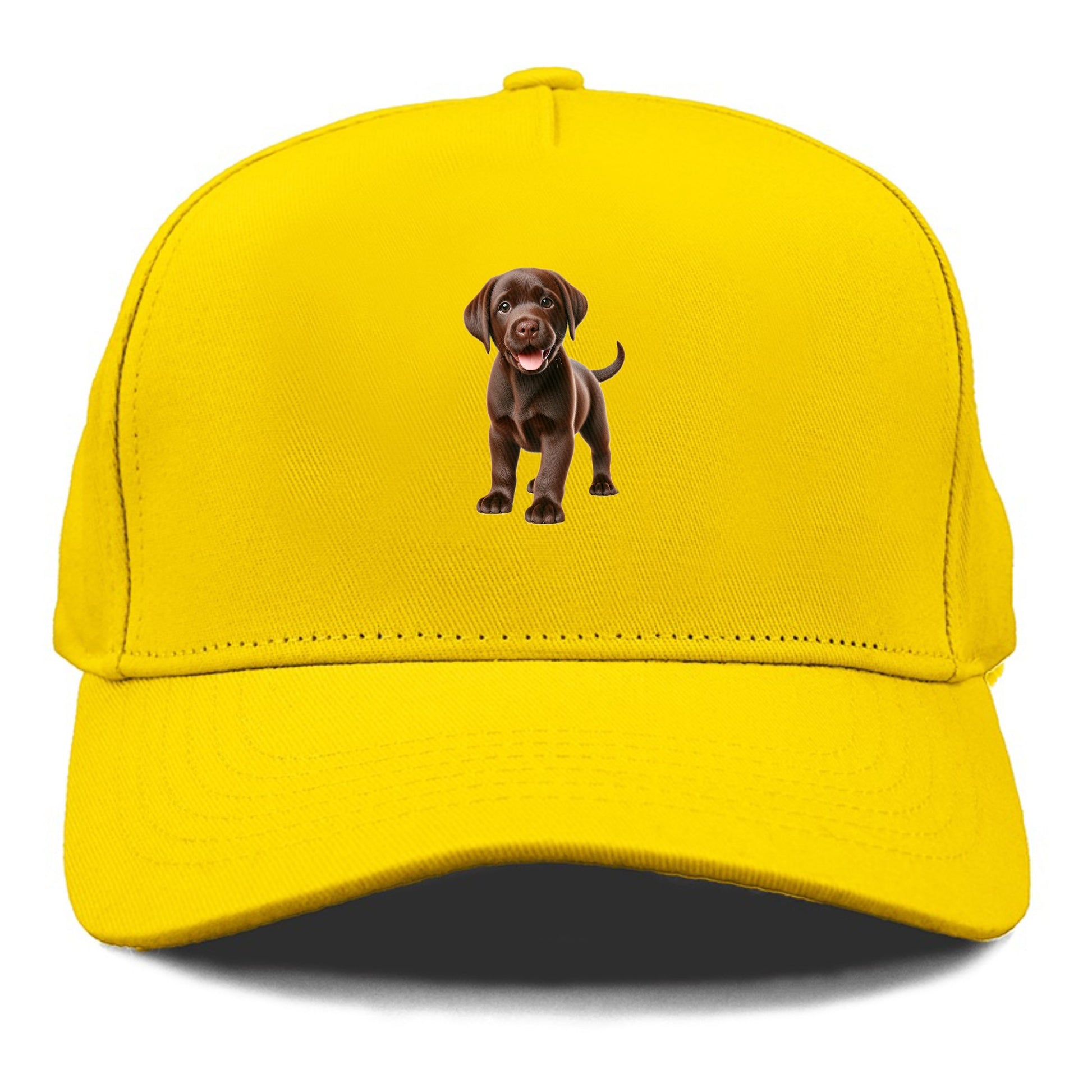 chocolate labrador Hat