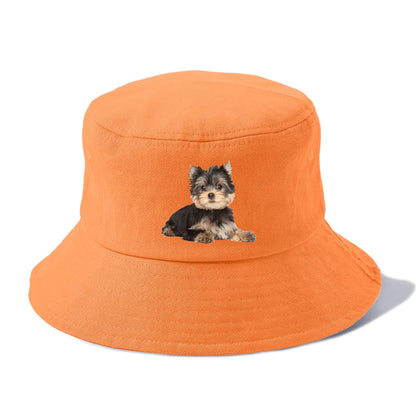 Yorkshire terrier Hat