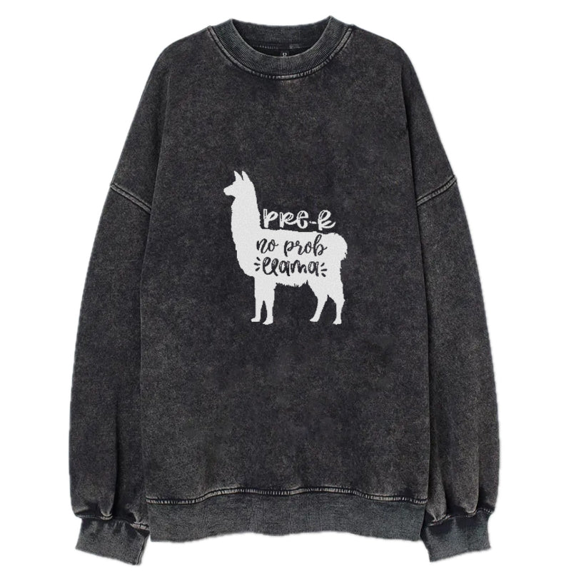 Prek no prob llama Hat