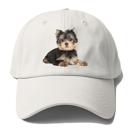 Yorkshire terrier Hat