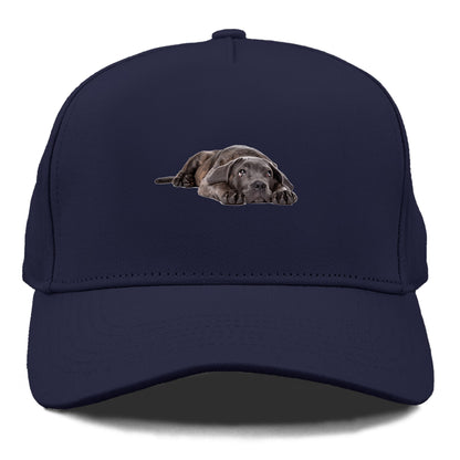 cane corso Hat