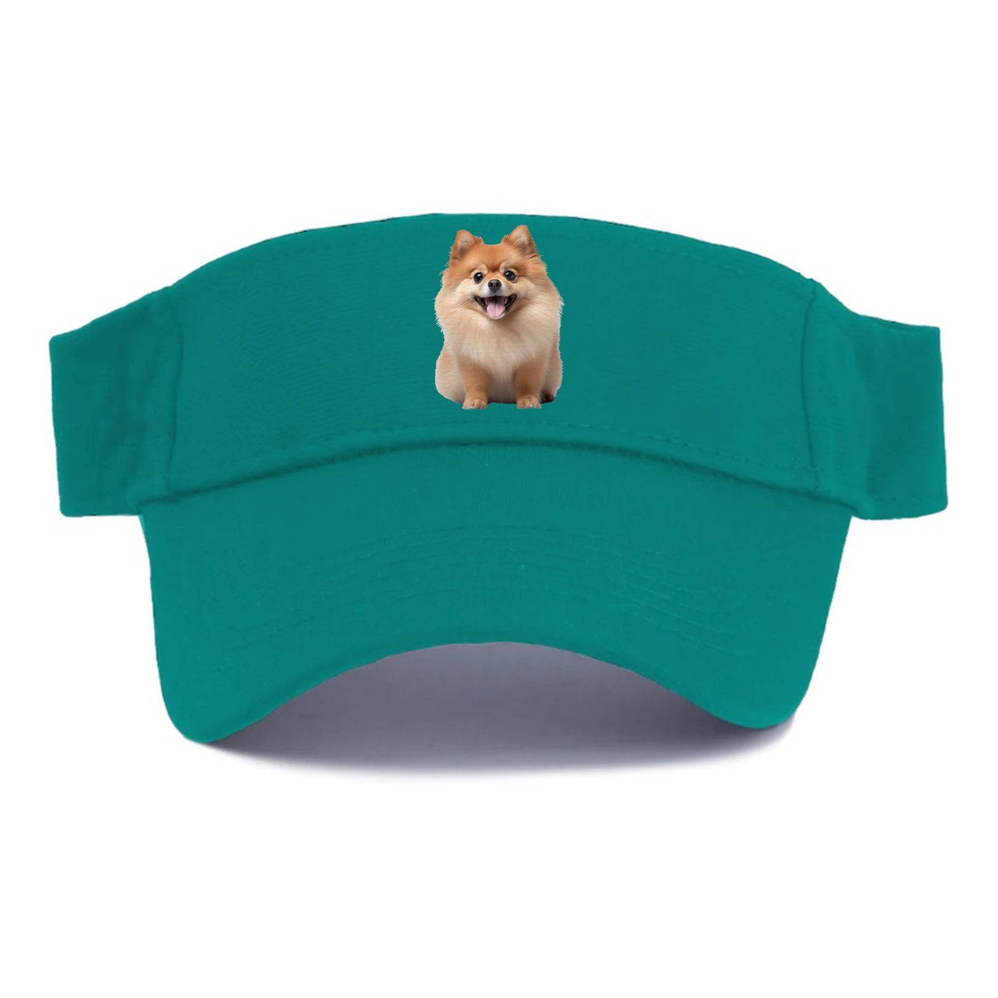 Delighted Pomeranian  Hat