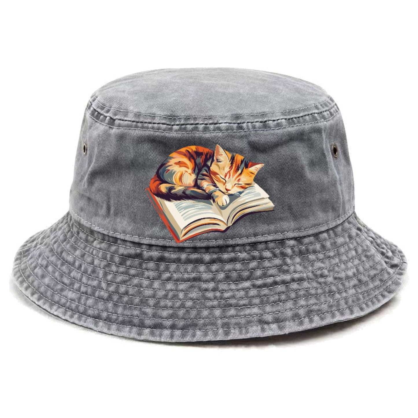 Cat Nap on Book Hat