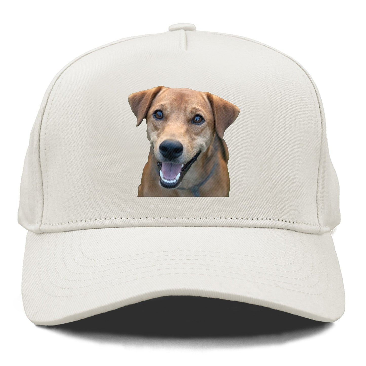 Labrador Hat