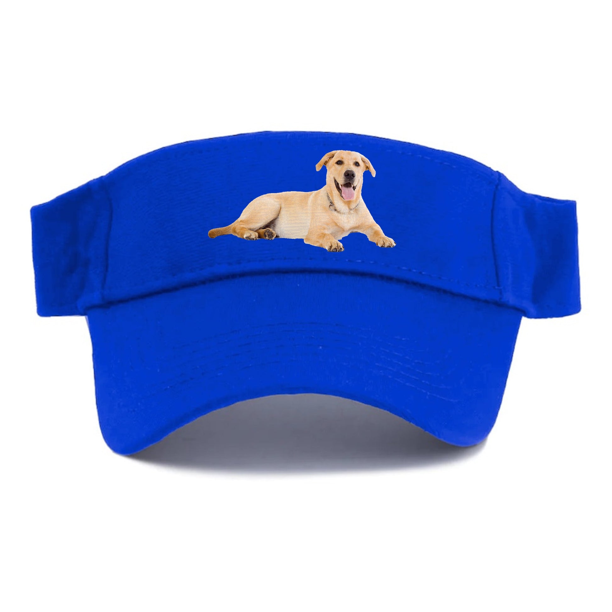 Labrador laying down Hat