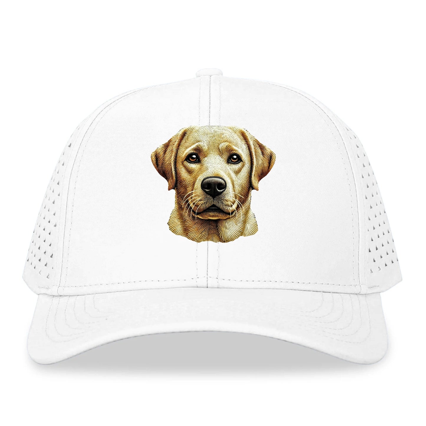 Labrador Retriever_ Hat