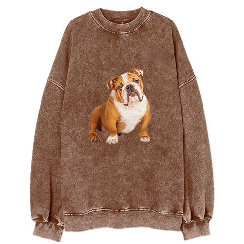 Bulldog Vintage Sweatshirt