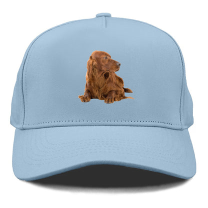 Irish Setter Hat