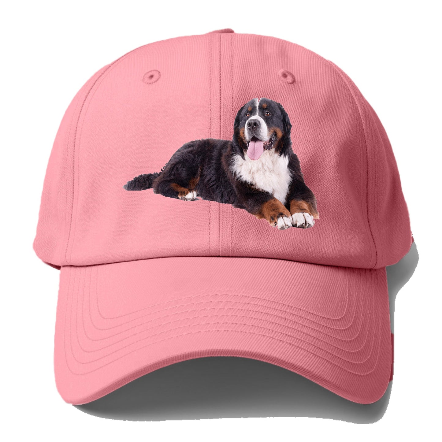 bernese mountain dog Hat