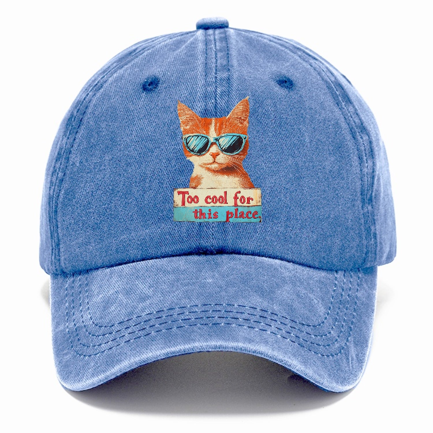 Cool Cat with Sunglasses Hat