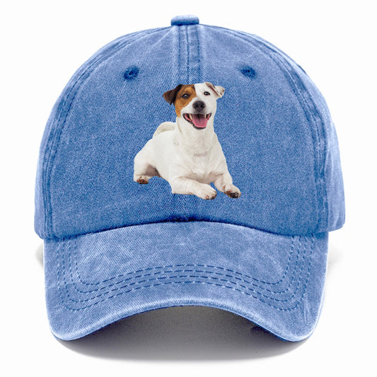 jack russell terrier dog Hat