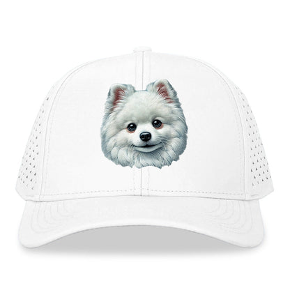 Pomeranian Hat