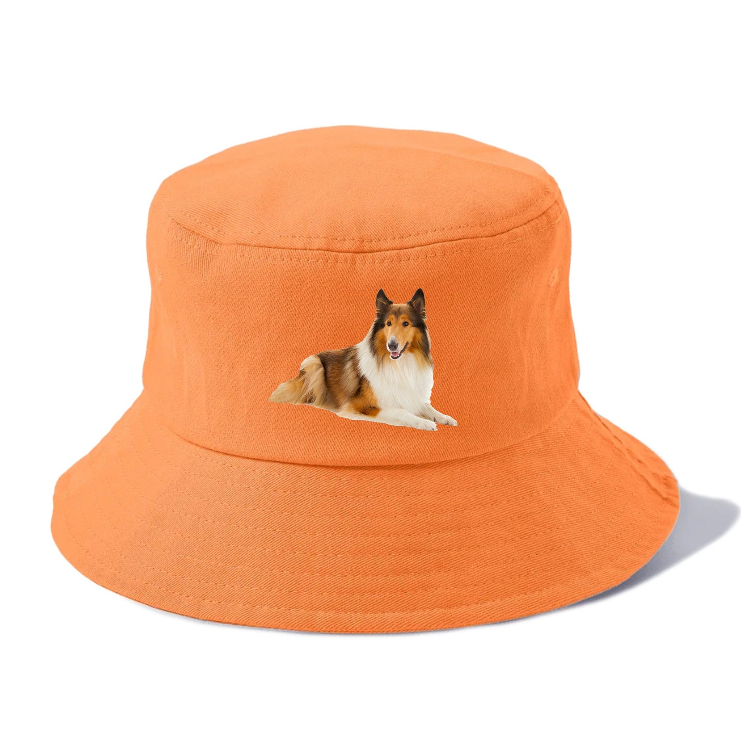 Rough Collie Hat