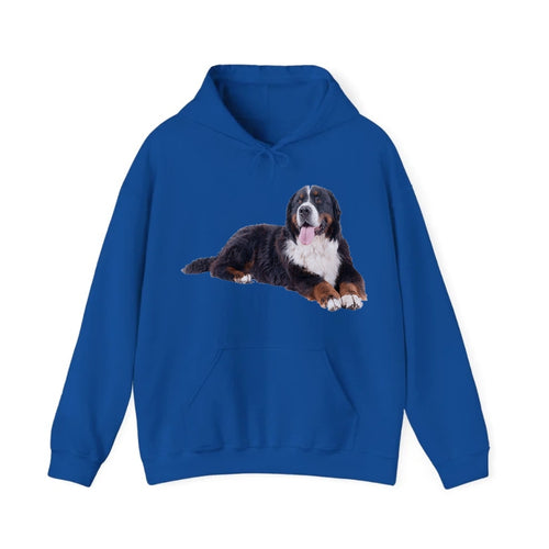 Bernese Mountain Dog Hooded Sweatshirt