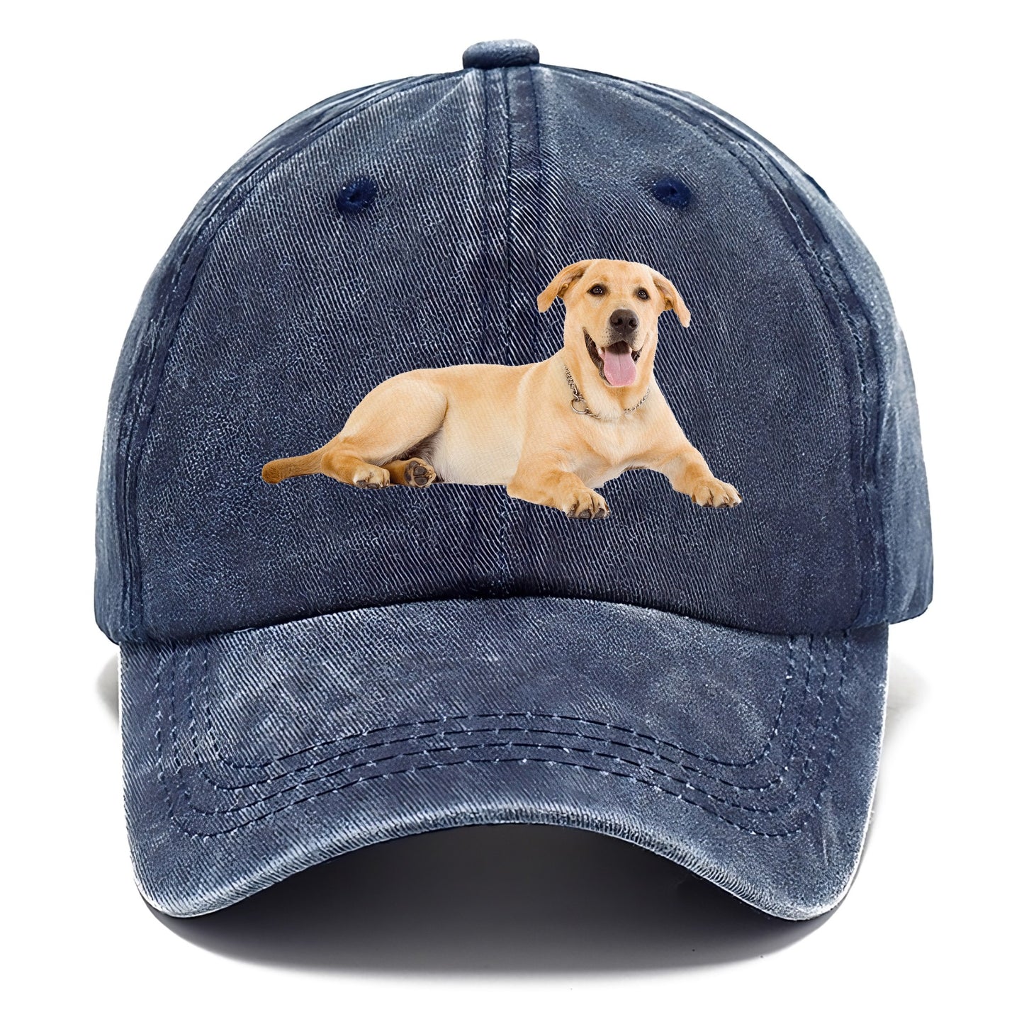 Labrador laying down Hat